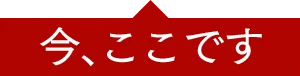 今、ここです