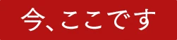 今、ここです